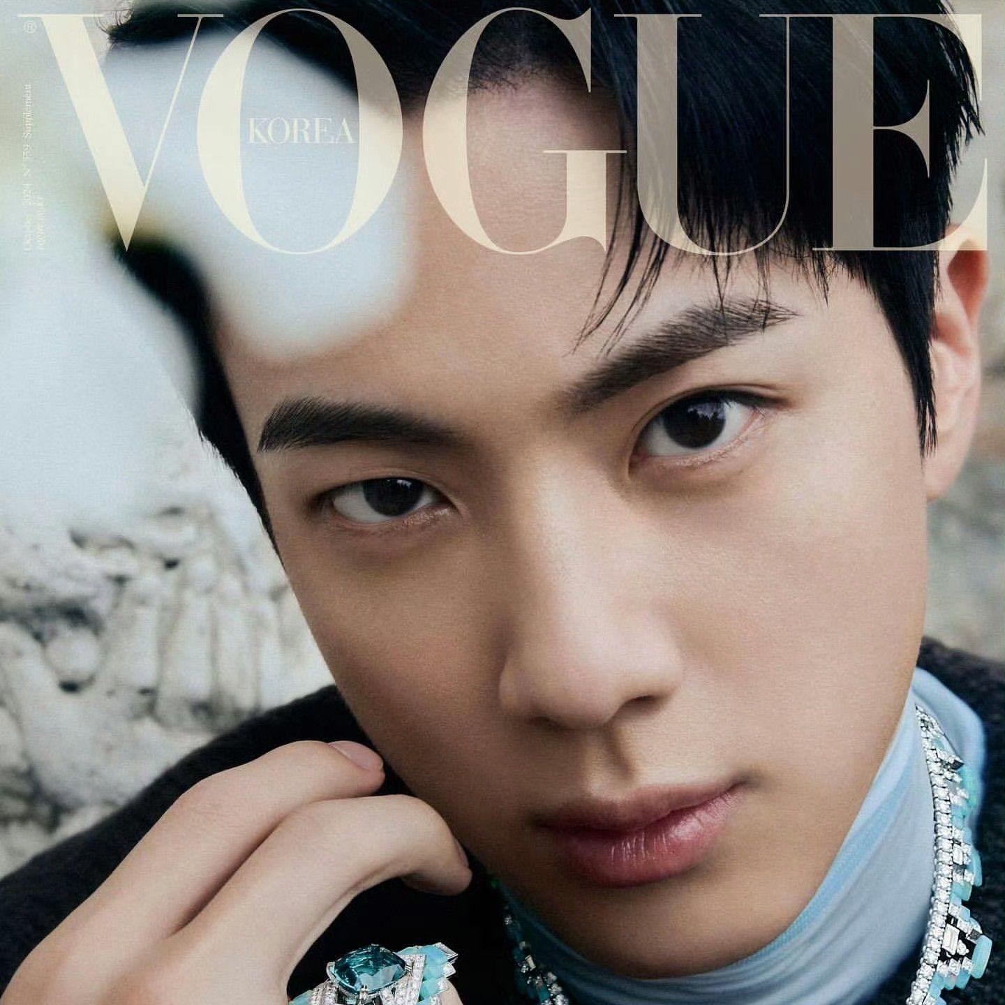 A moment captured by Jin (BTS)'s fan