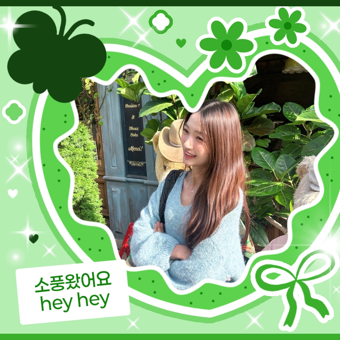 SECRET NUMBER 팬이 찍은 순간