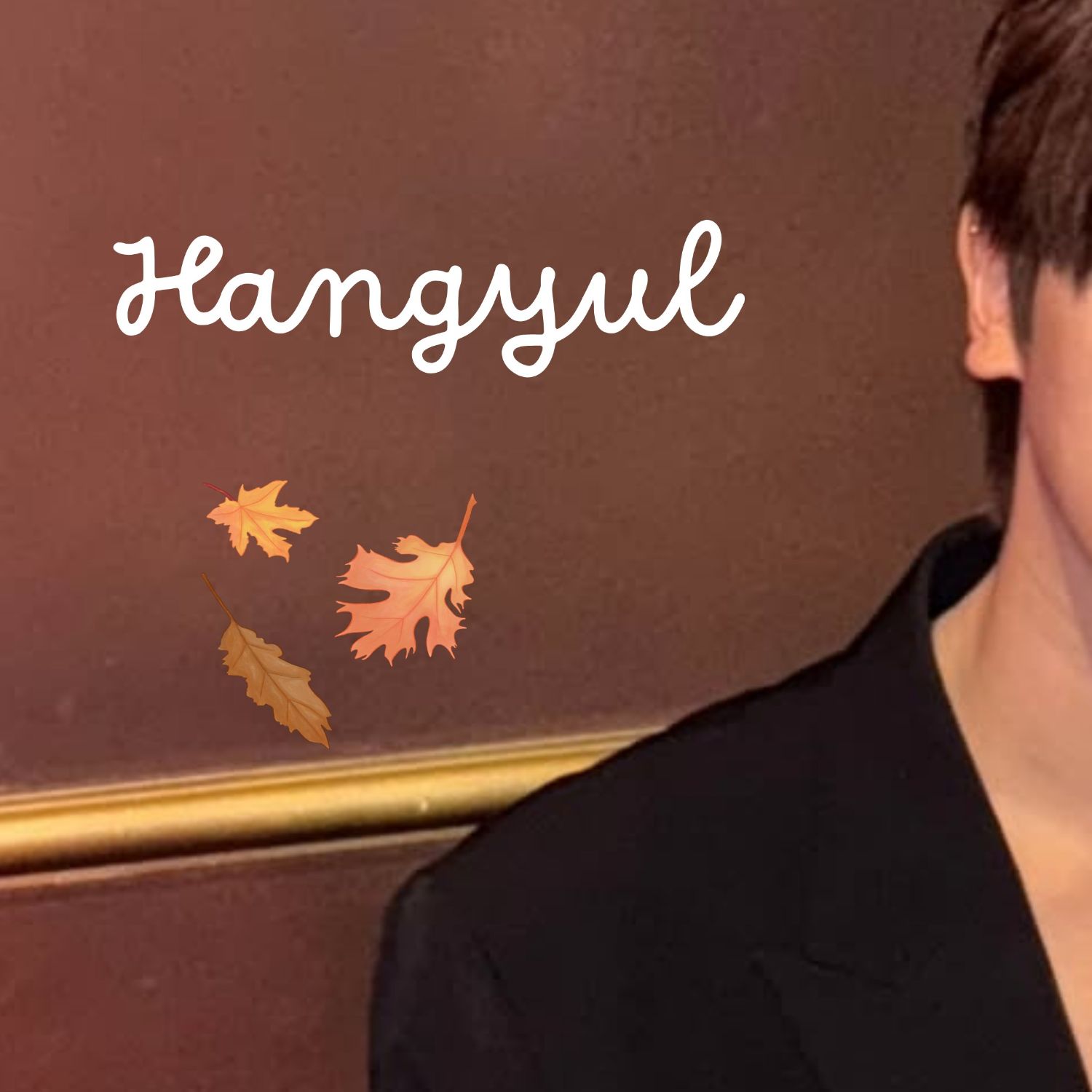 A moment captured by Hangyul (POLARIX)'s fan
