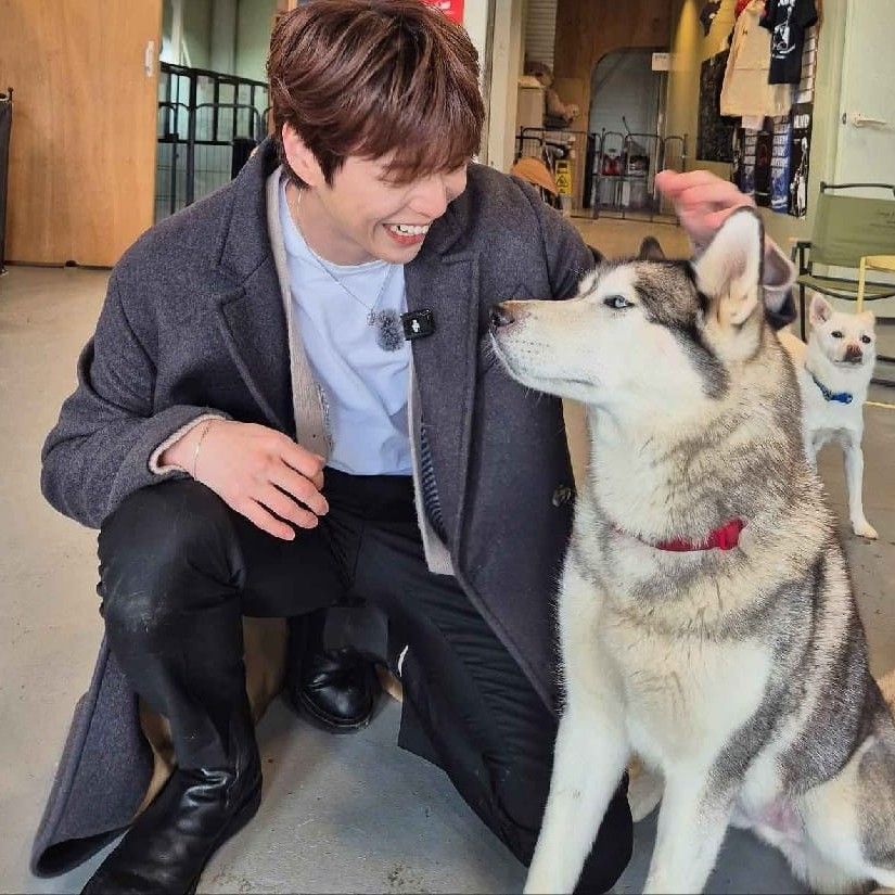 강다니엘 최근 활동샷