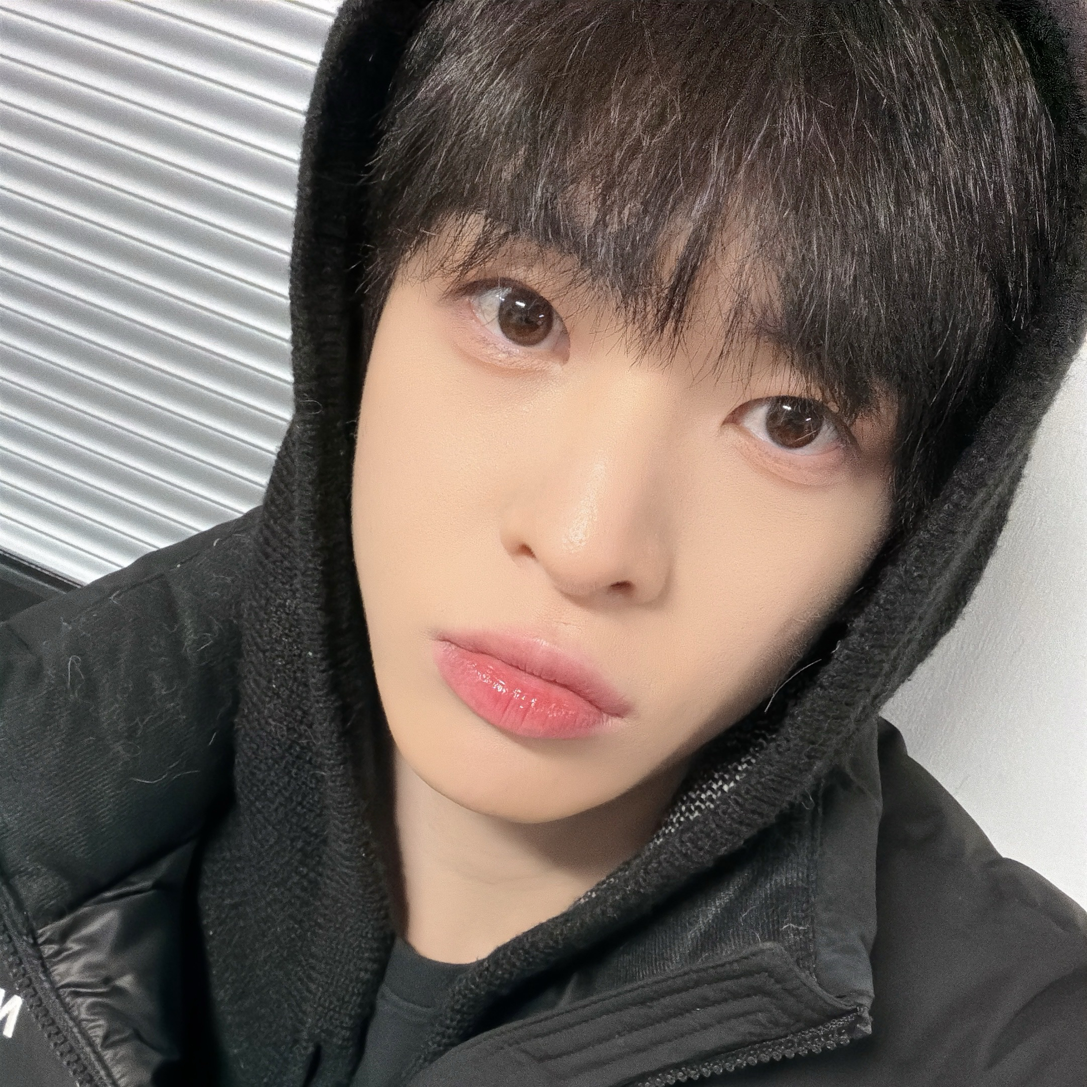 A moment captured by Allen (CRAVITY)'s fan