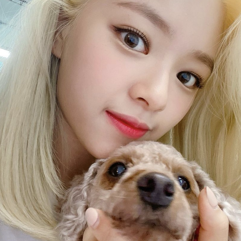定延 (TWICE)粉絲拍下的瞬間