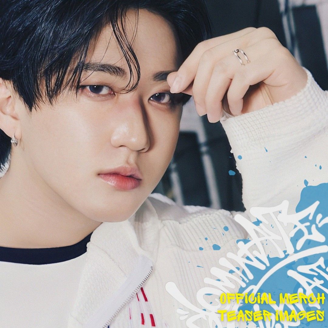 Stray Kids チャンビン まとめ売り pon様専用】 straykids チャンビン まとめ売り - メルカリ