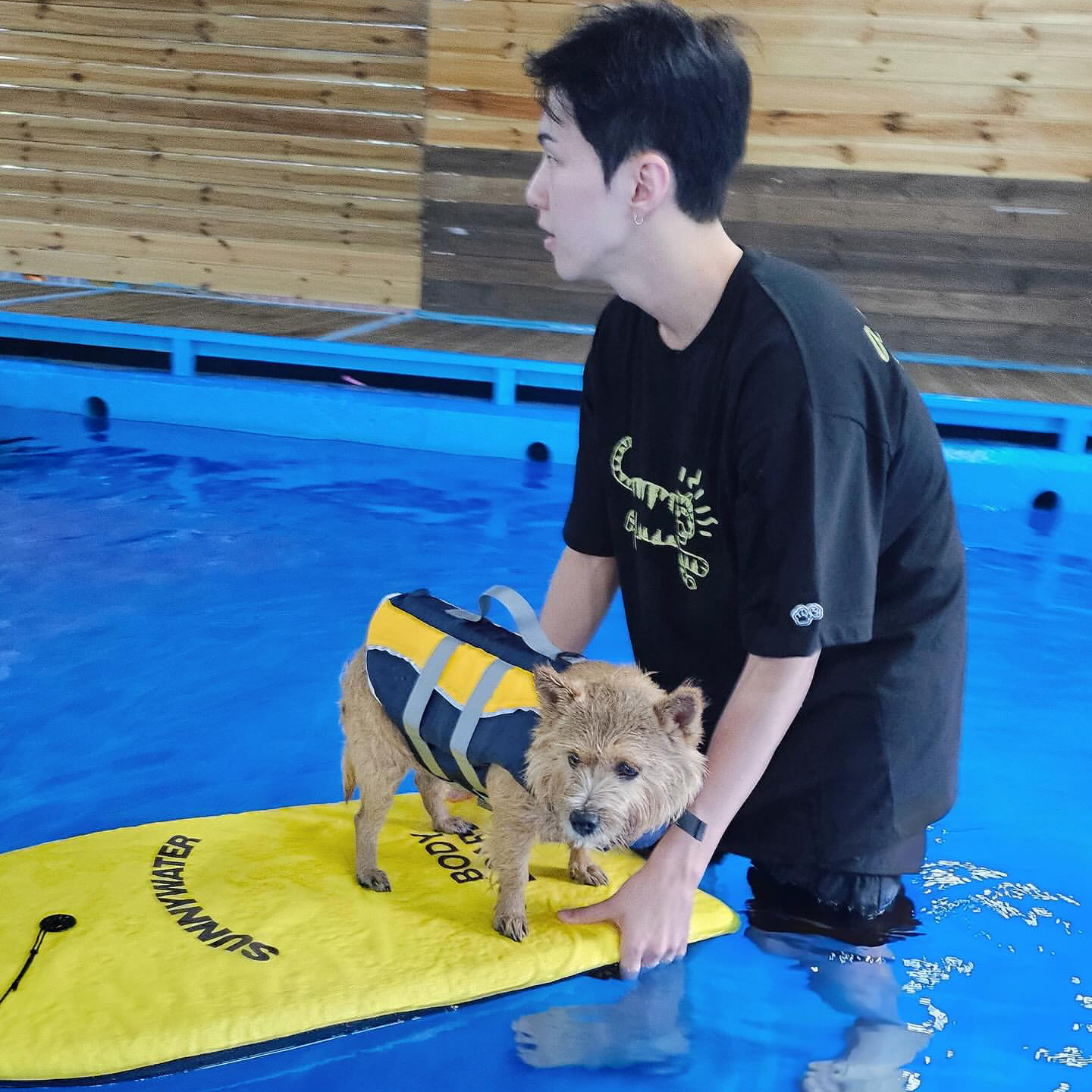 Latest photo of Hoshi (SEVENTEEN)