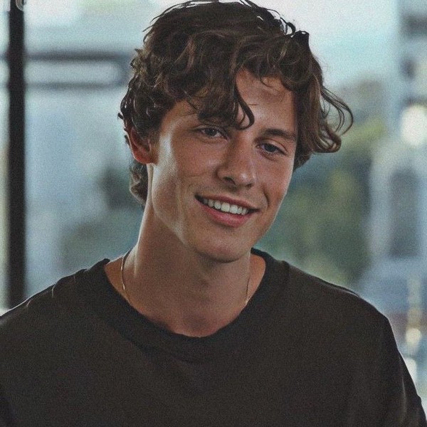 Best moment chosen by Shawn Mendes fandom