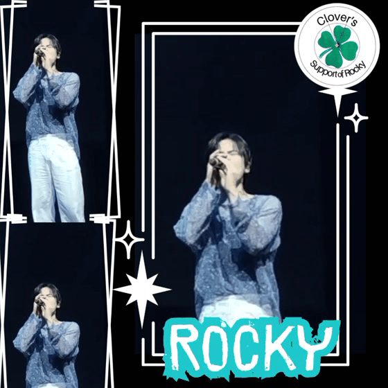 Recent activity shot of Rocky