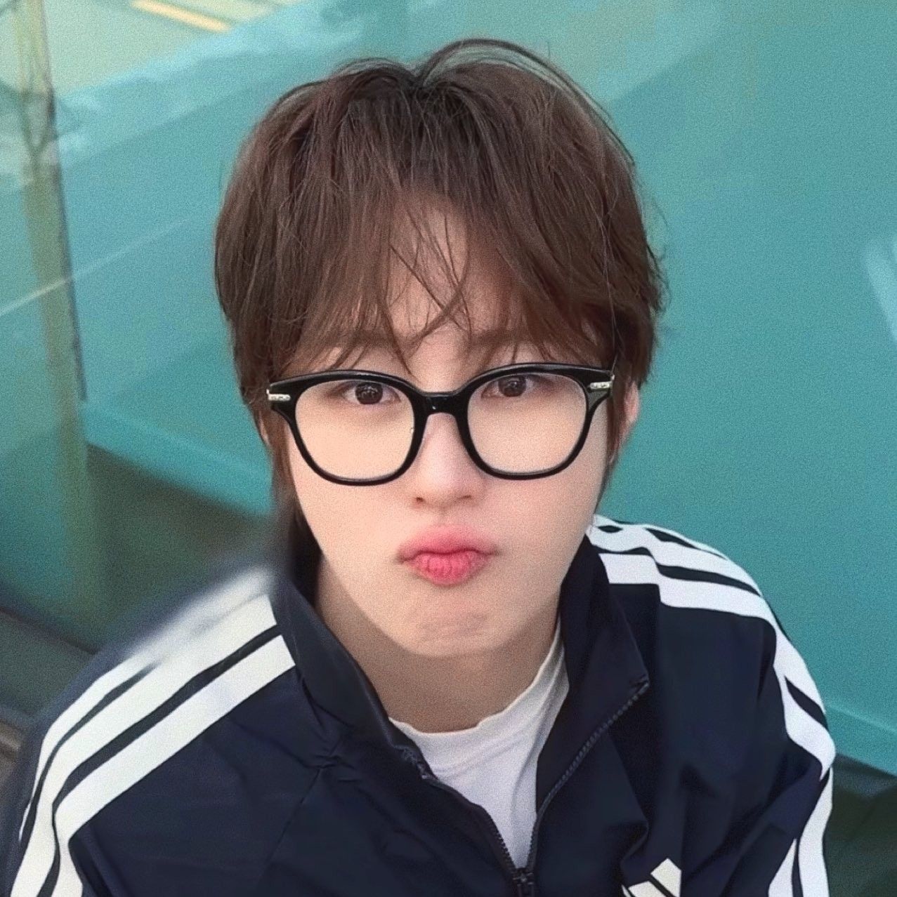 하성운 팬이 찍은 순간