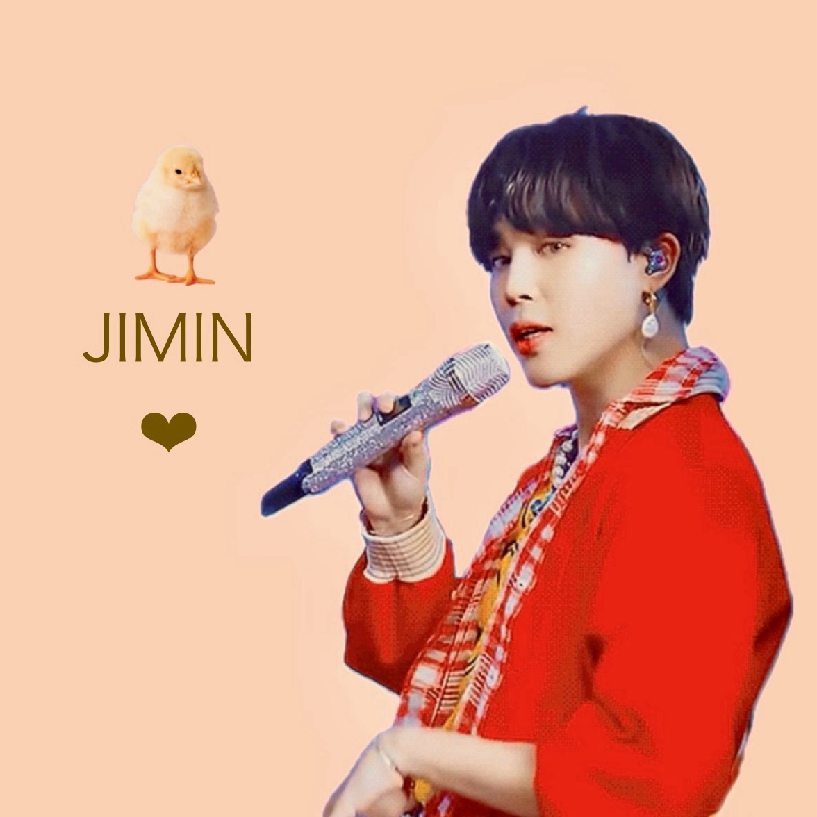 A moment captured by Jimin (BTS)'s fan