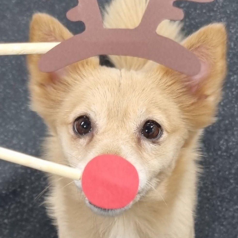 쯔위 (TWICE) 팬이 찍은 순간