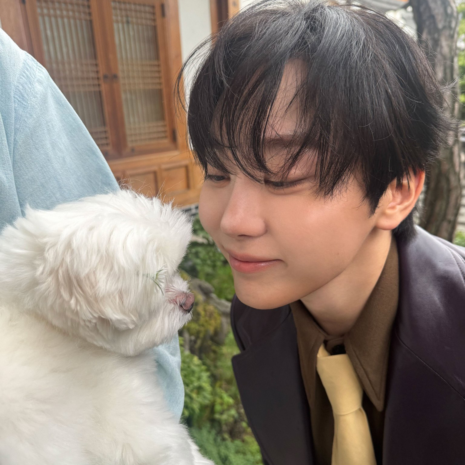 Recent activity shot of Seungkwan (SEVENTEEN)