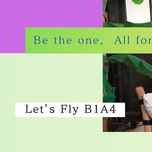 A moment captured by B1A4's fan