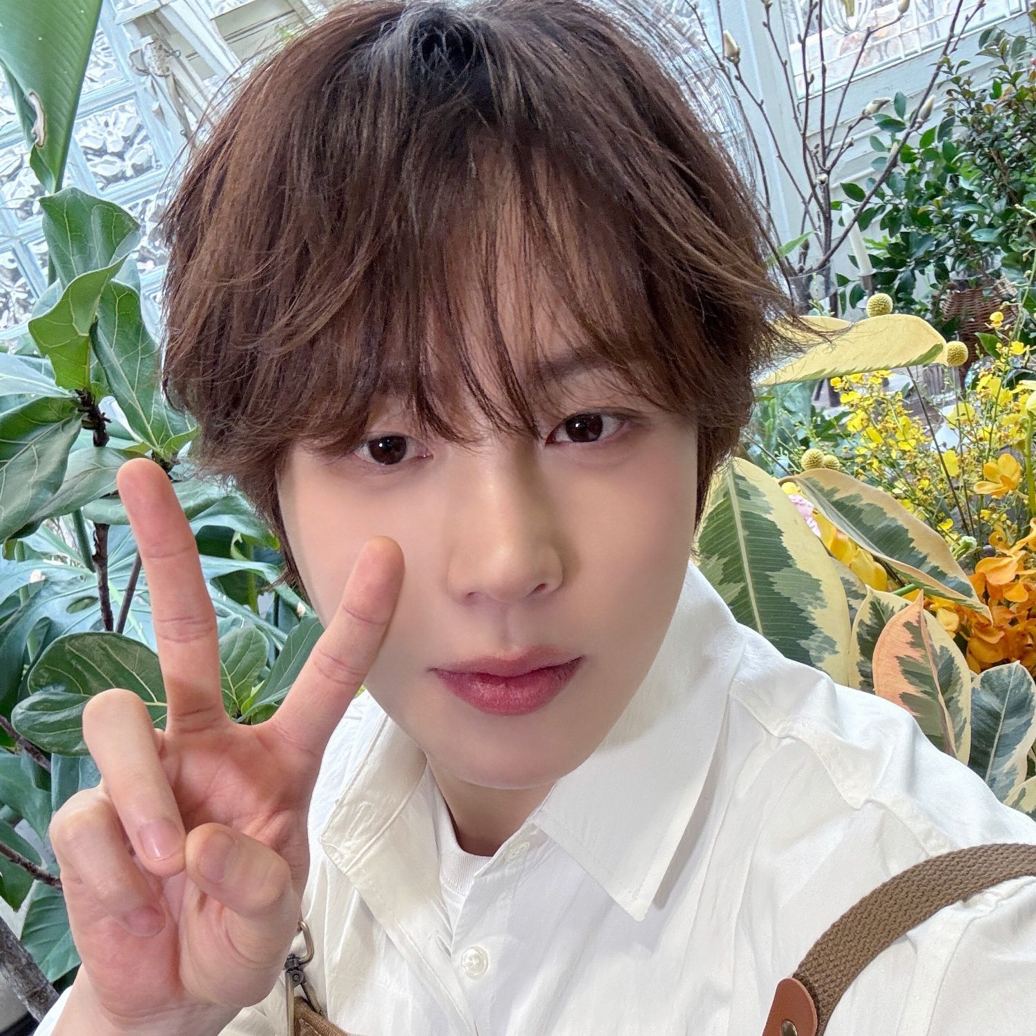 Recent activity shot of Ha Sungwoon