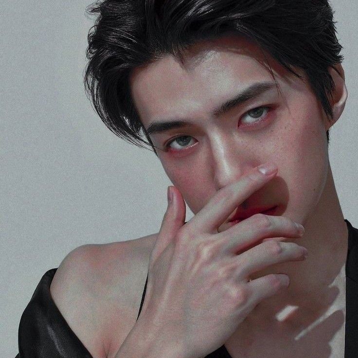 世勳 (EXO)粉絲拍下的瞬間