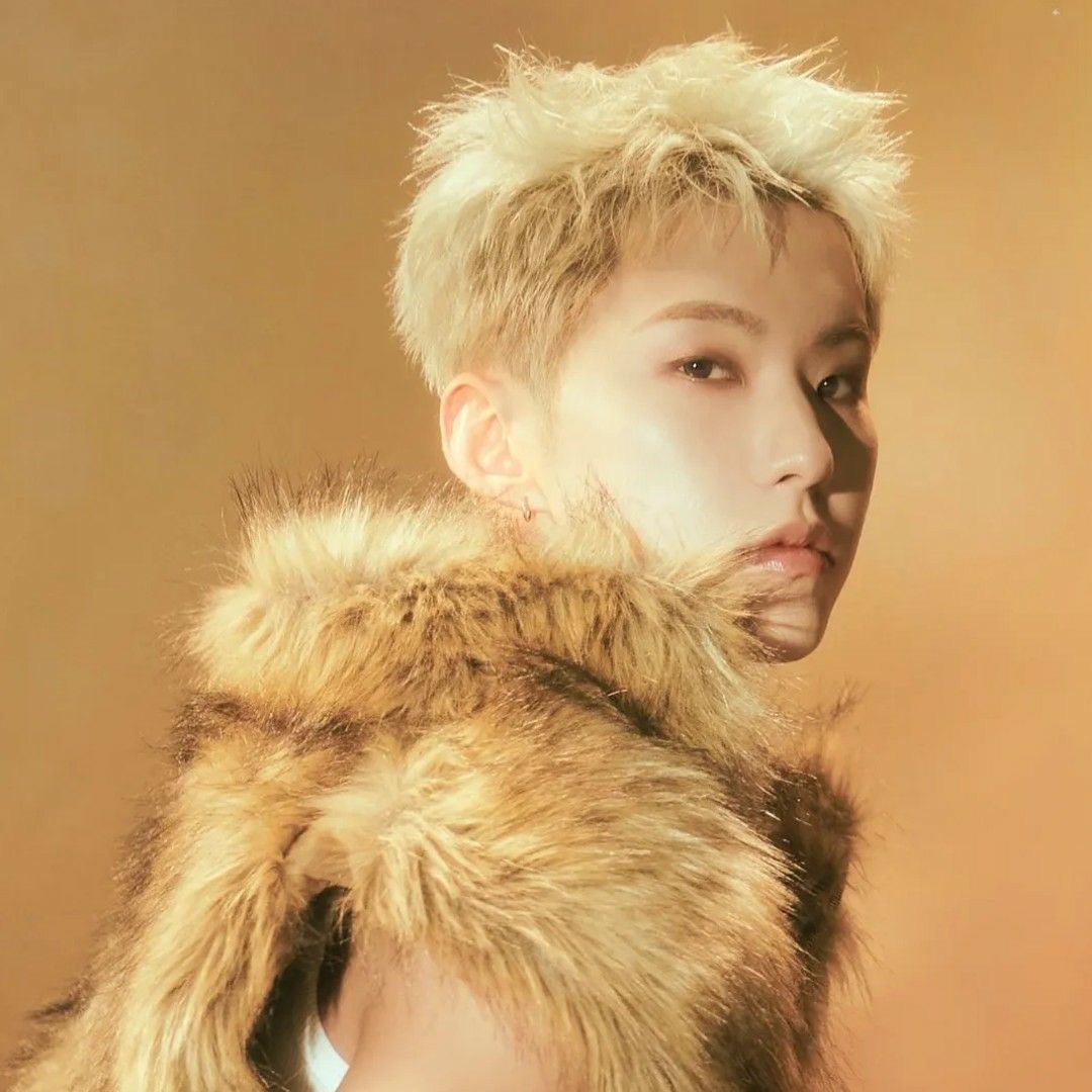 A moment captured by Hoshi (SEVENTEEN)'s fan