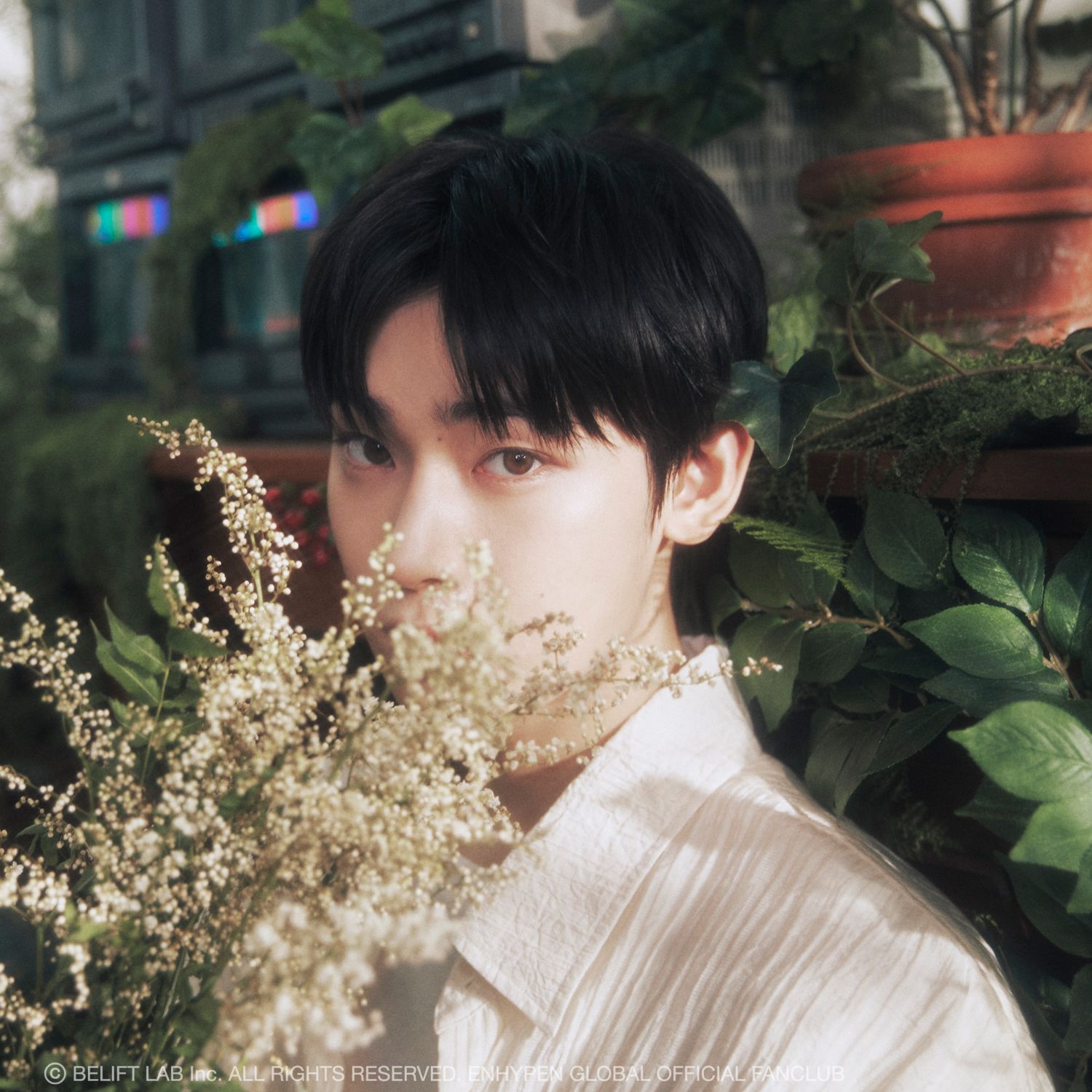 Latest photo of Sunoo (ENHYPEN)