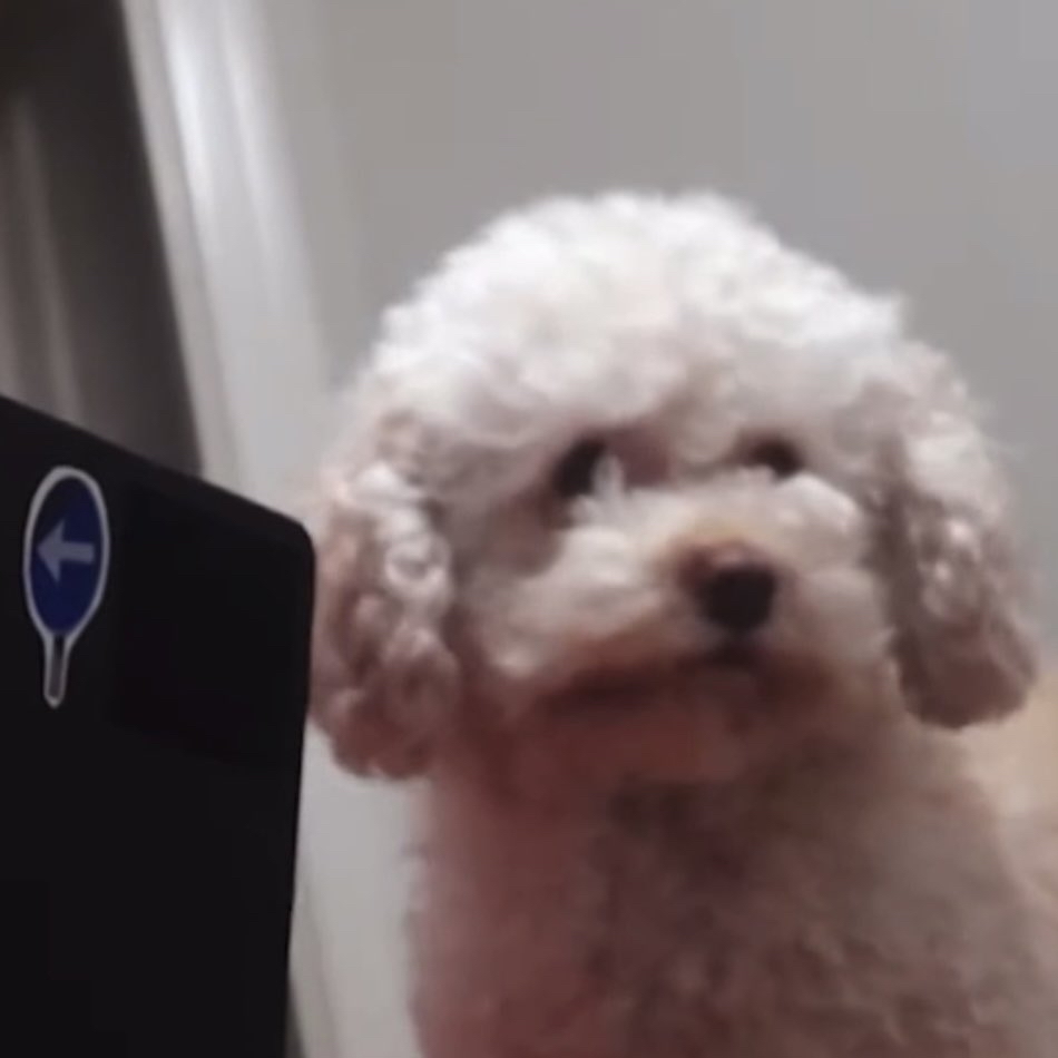 HANNI (NewJeans)的幕后花絮