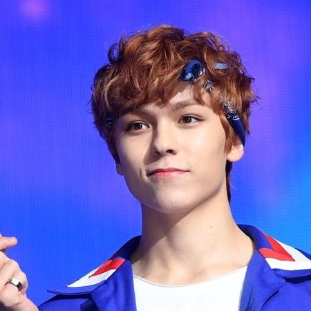 세븐틴 팬이 찍은 순간