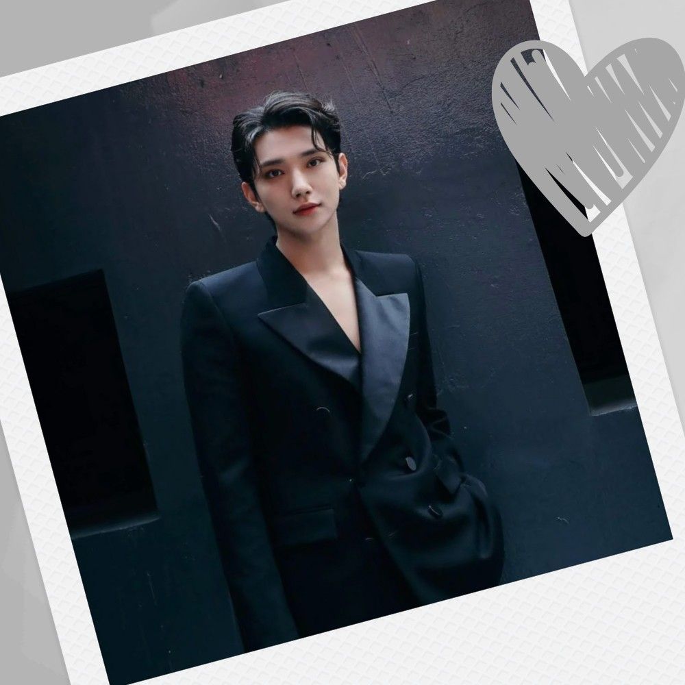 A moment captured by SEVENTEEN's fan