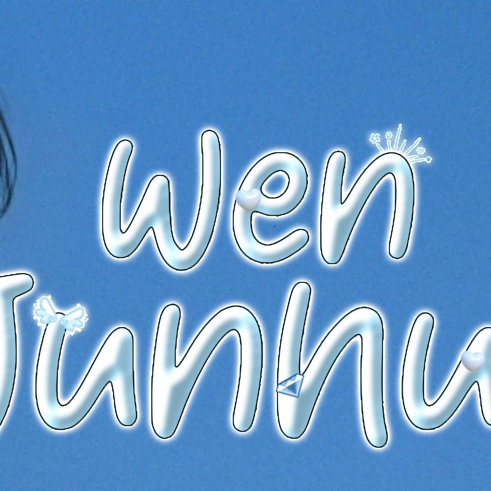 세븐틴 팬이 찍은 순간