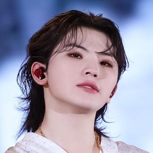 A moment captured by Woozi (SEVENTEEN)'s fan