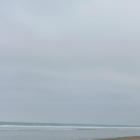 Recent activity shot of EXO