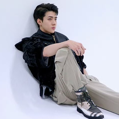 Recent activity shot of Sehun (EXO)