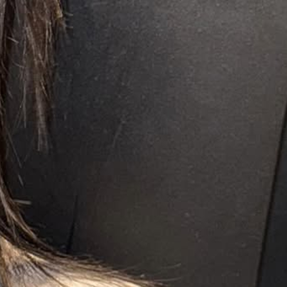 Recent activity shot of Choerry (ARTMS)