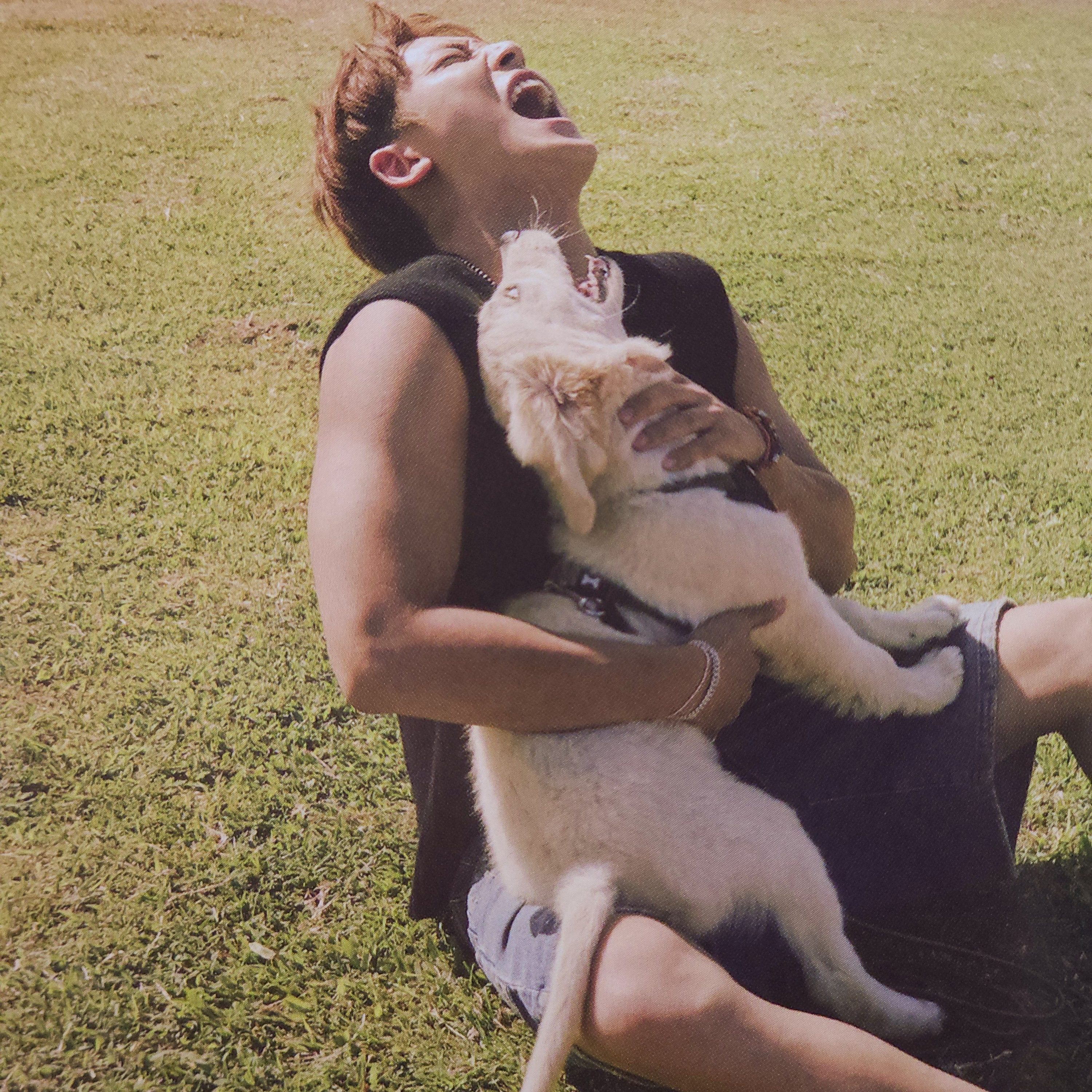 세븐틴의 최신 사진