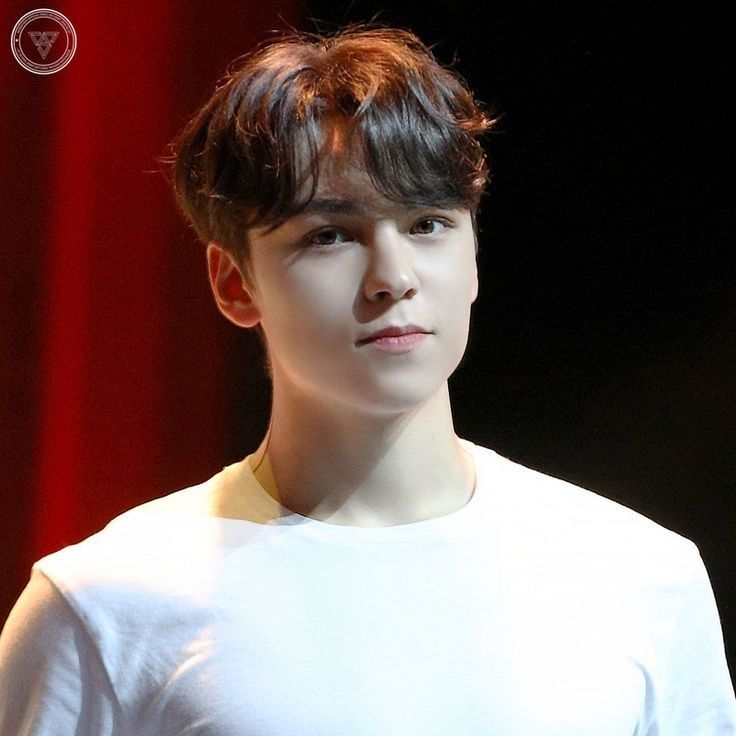 Momen yang diabadikan oleh penggemar Vernon (SEVENTEEN)