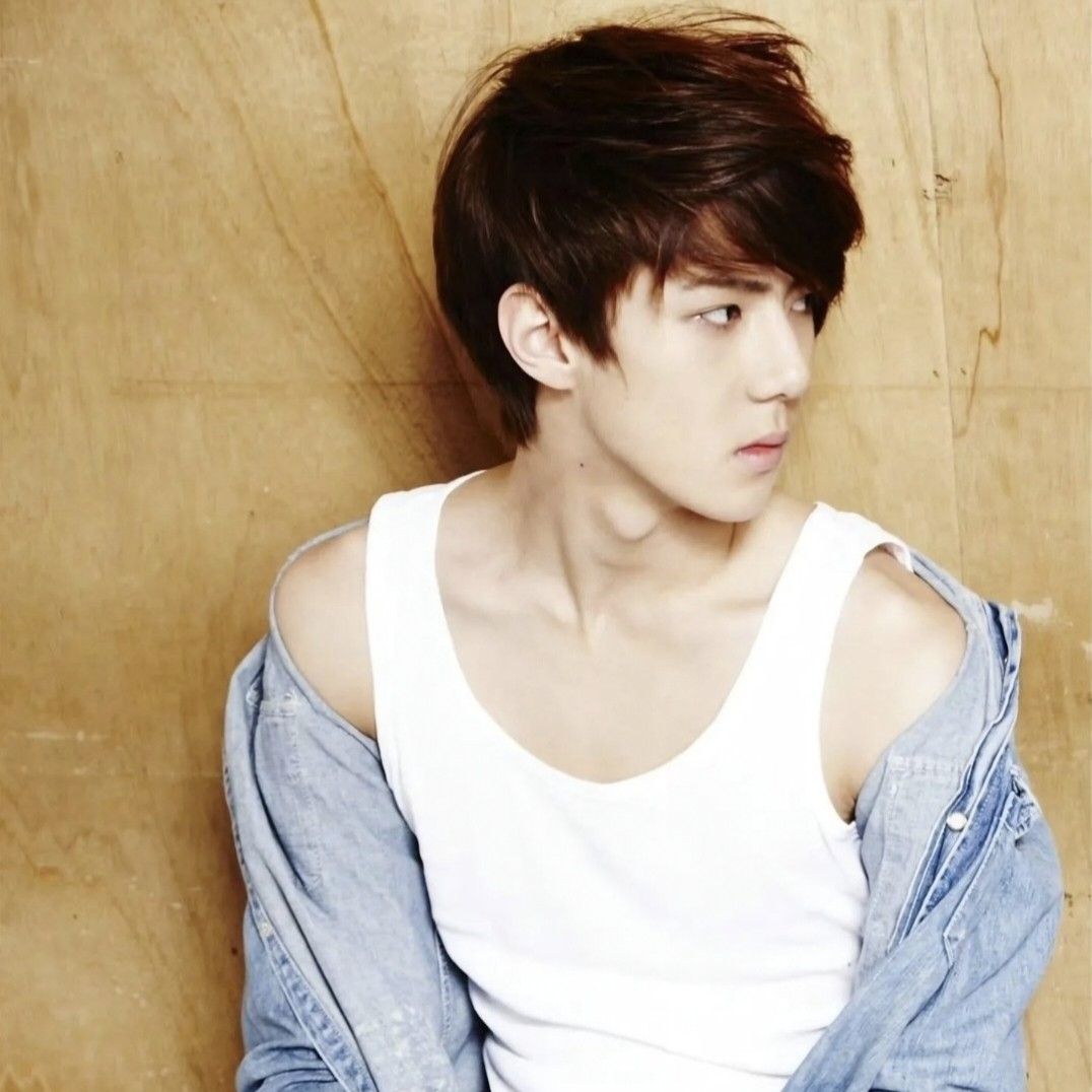 世勋 (EXO)粉丝拍下的瞬间