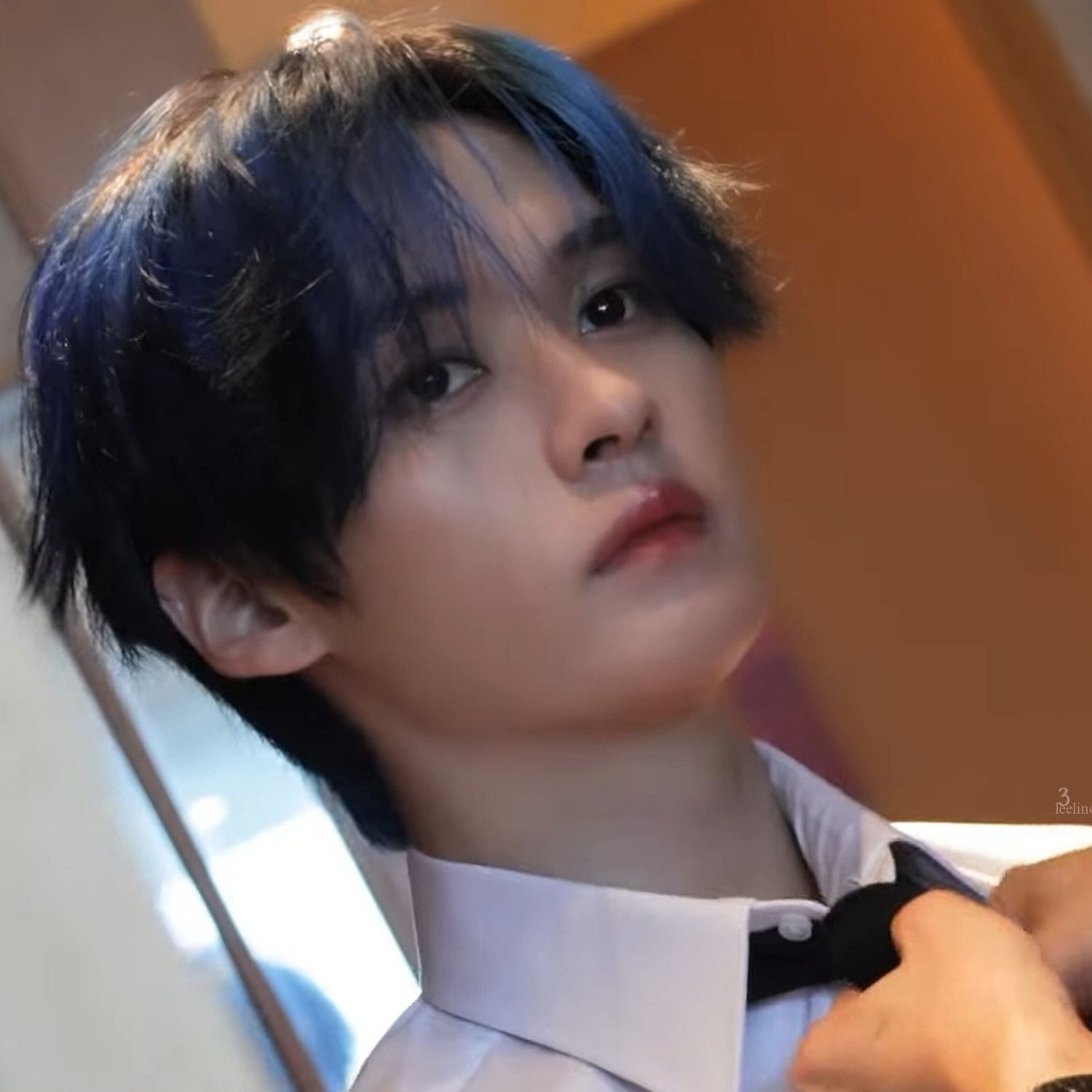 A moment captured by Lee Know (Stray Kids)'s fan