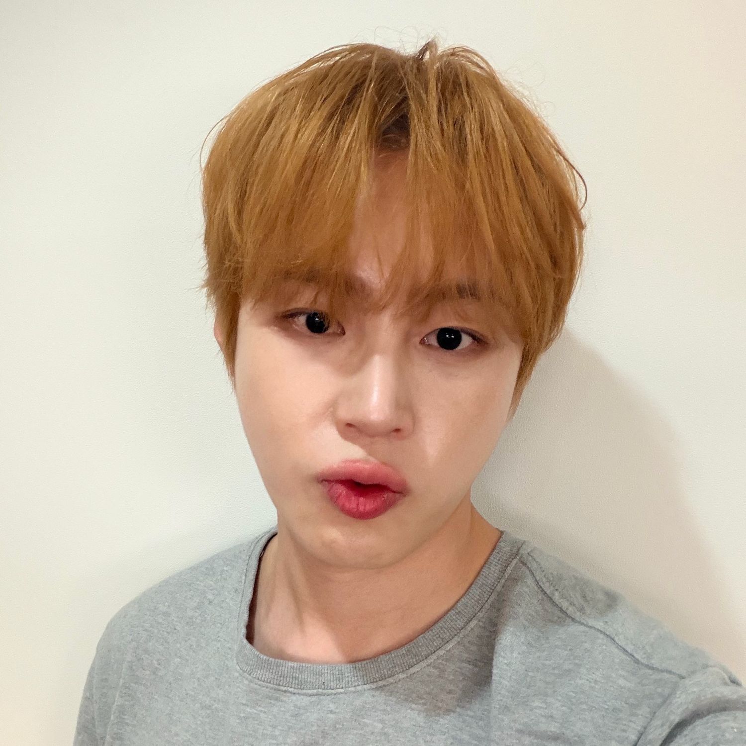 하성운 팬이 찍은 순간