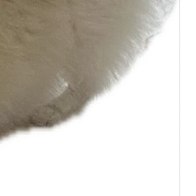 Latest photo of Ravn
