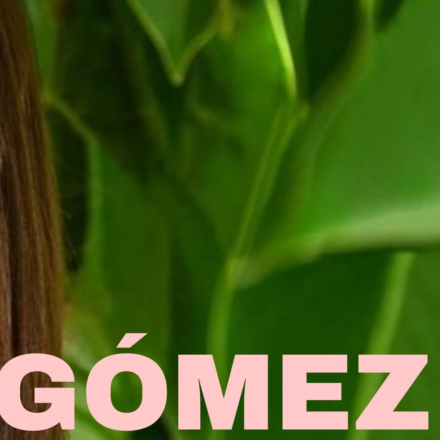 A moment captured by Selena Gomez's fan