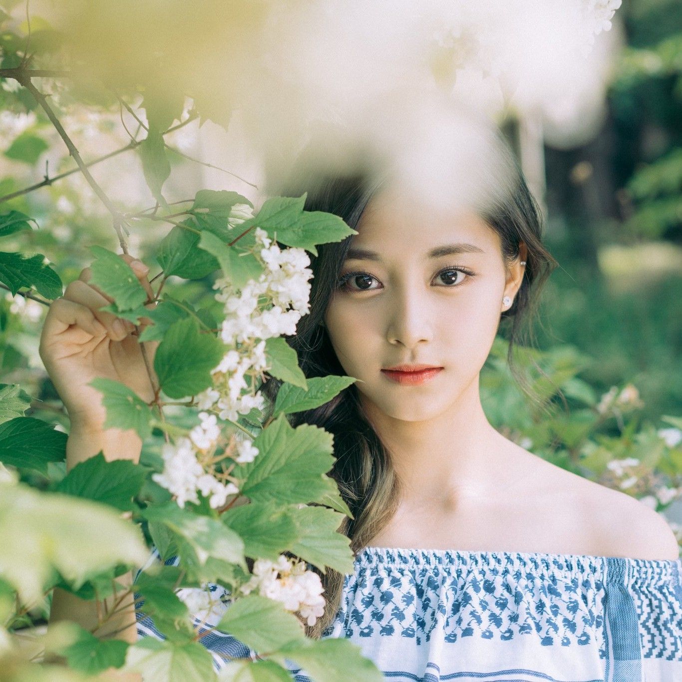 A moment captured by Tzuyu (TWICE)'s fan