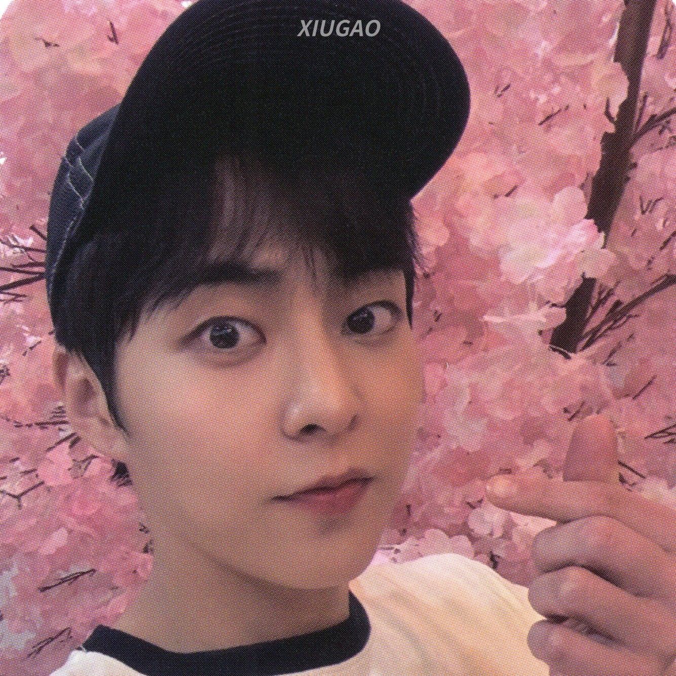 Xiumin (EXO)的最新活动照片