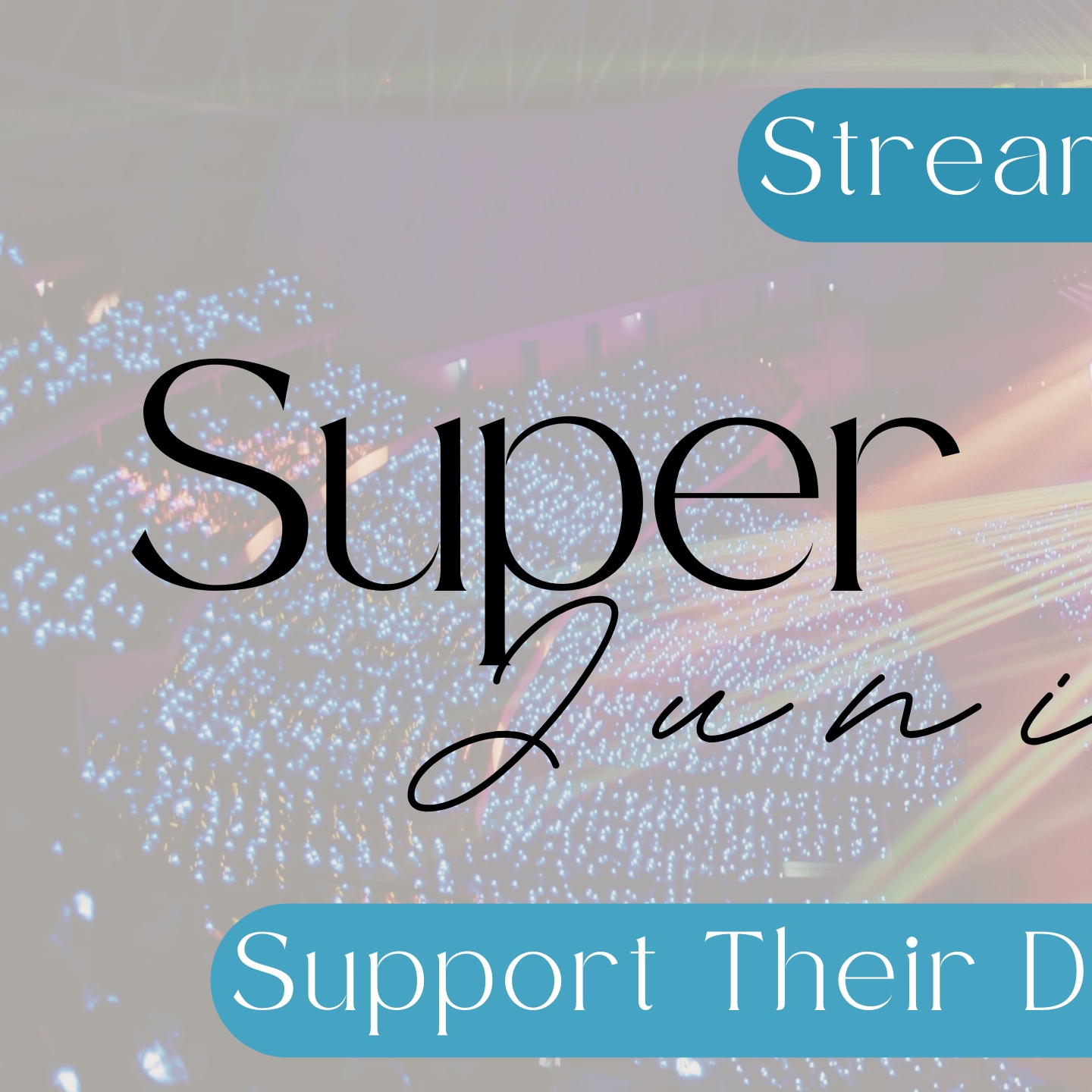 Momen yang diabadikan oleh penggemar Super Junior