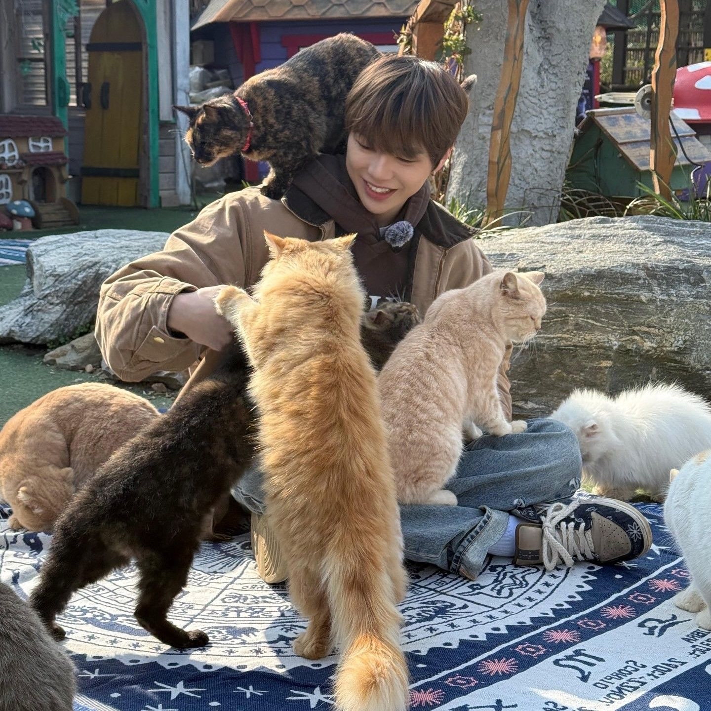 강다니엘 최근 활동샷