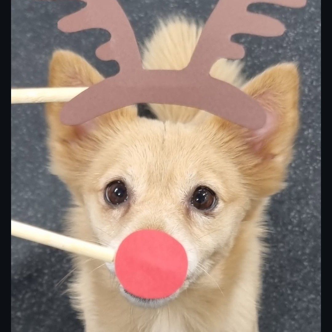 ツウィ (TWICE)ファンが撮った瞬間