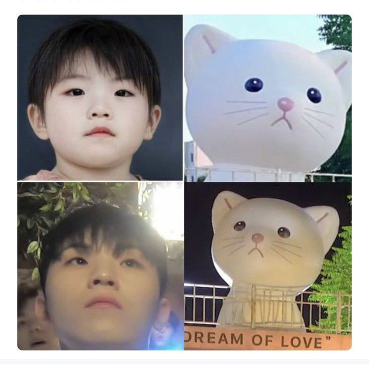 세븐틴 팬이 찍은 순간