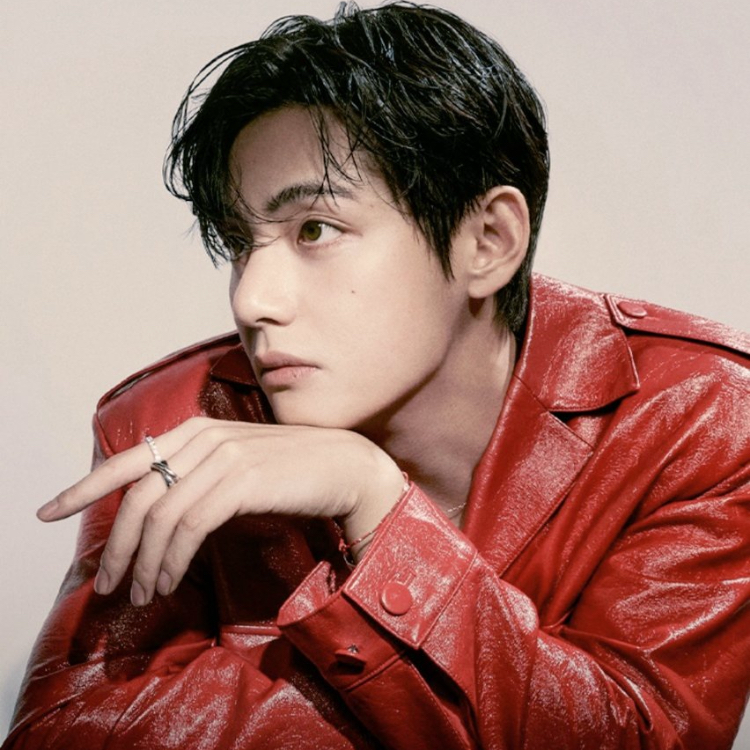 V (BTS)の最近の活動写真