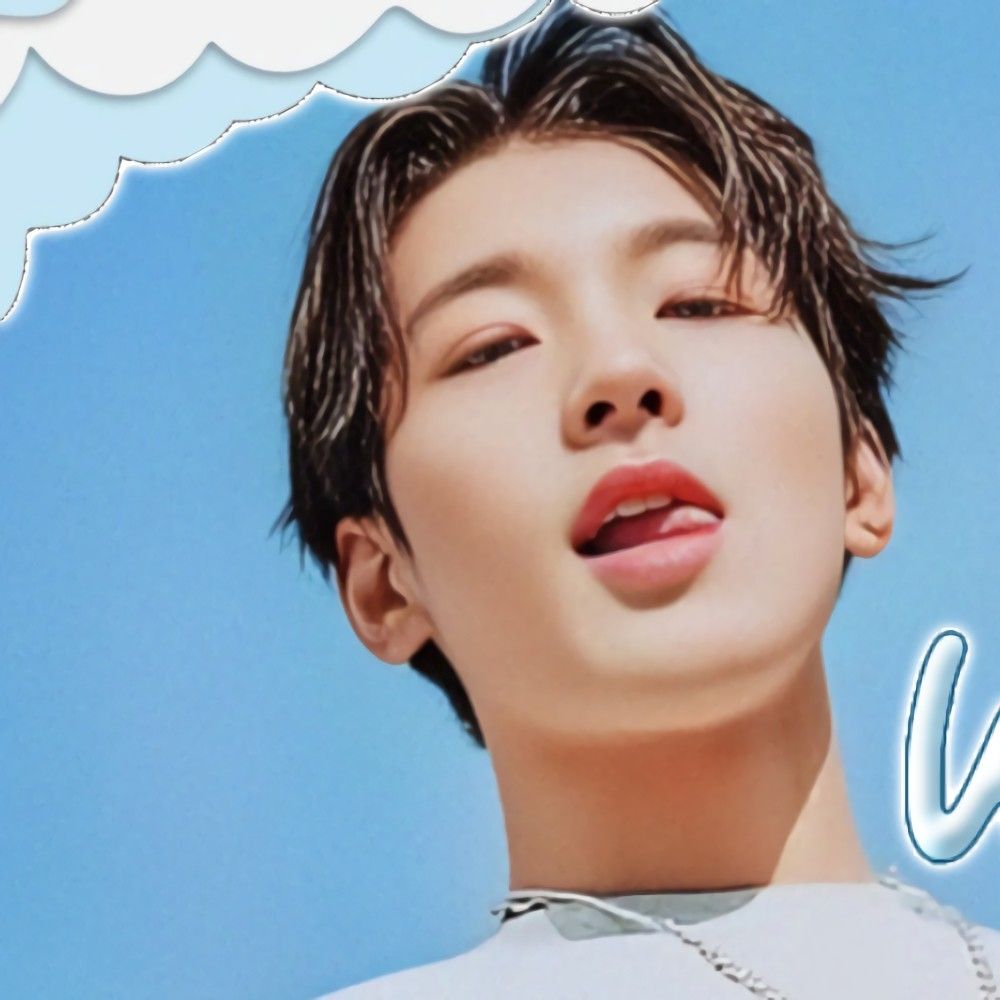 세븐틴 팬이 찍은 순간