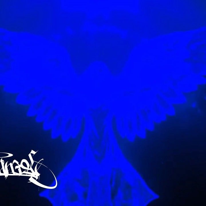 JUST Bの最近の活動写真