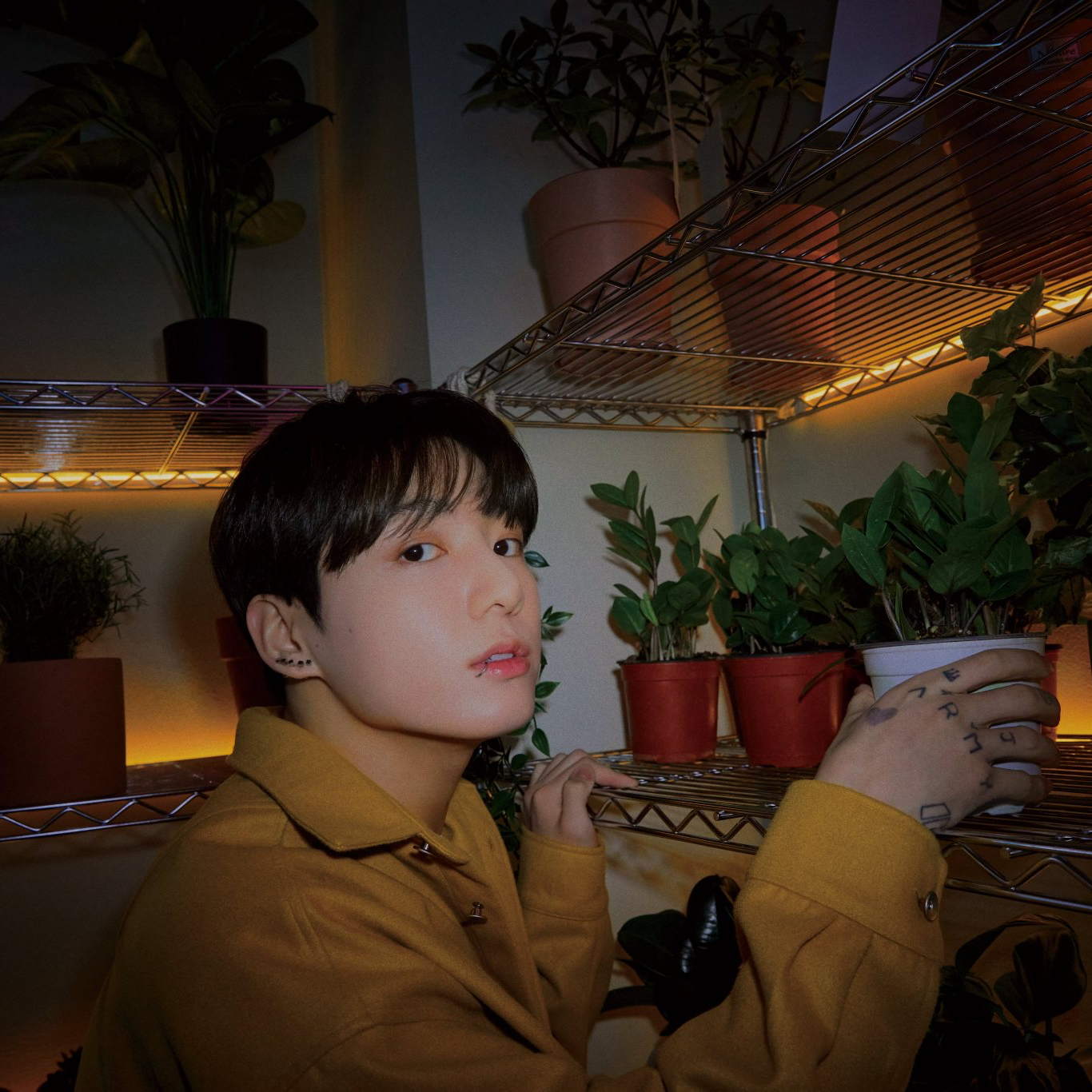 Behind-the-scenes cut of BTS