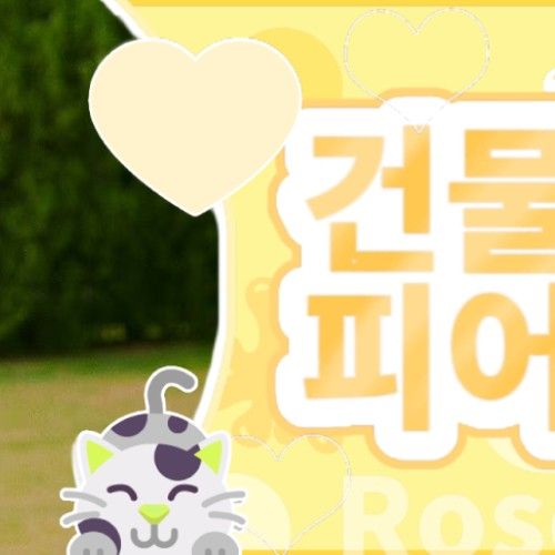クムヒ (CSR)の最近の活動写真
