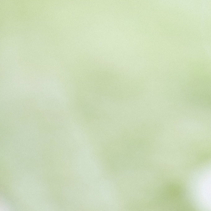 A moment captured by Mia (Baby DONT Cry)'s fan