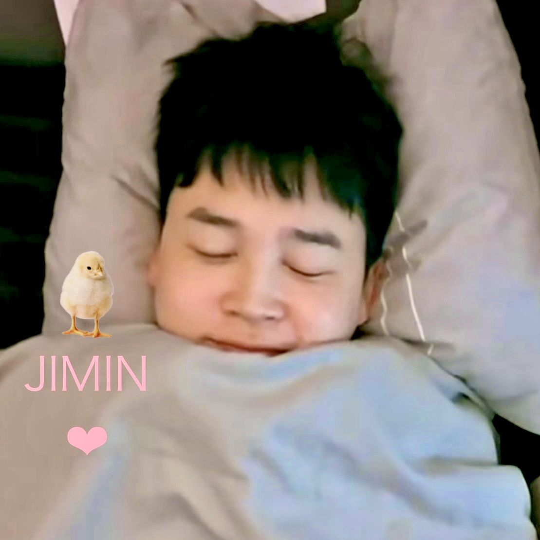 지민 (방탄소년단) 팬이 찍은 순간
