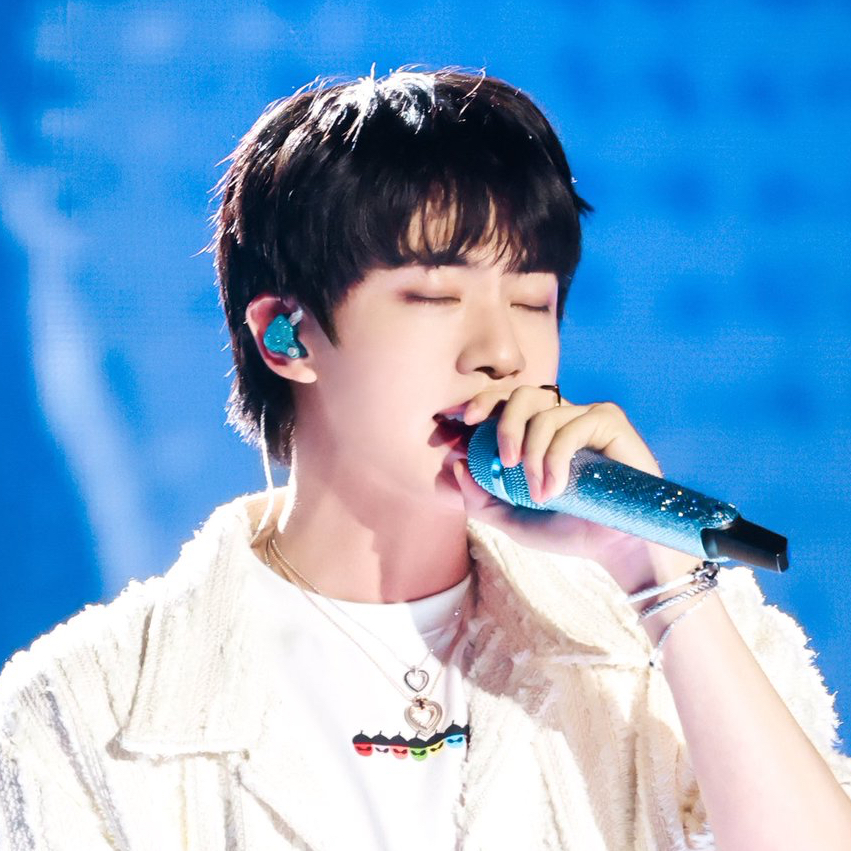 A moment captured by Jin (BTS)'s fan