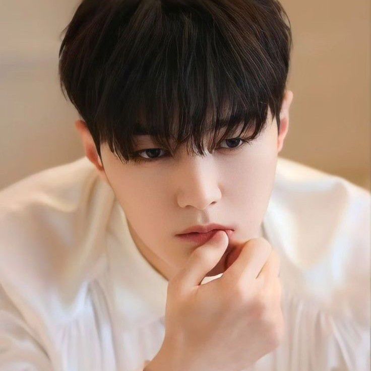 L (INFINITE)ファンが撮った瞬間