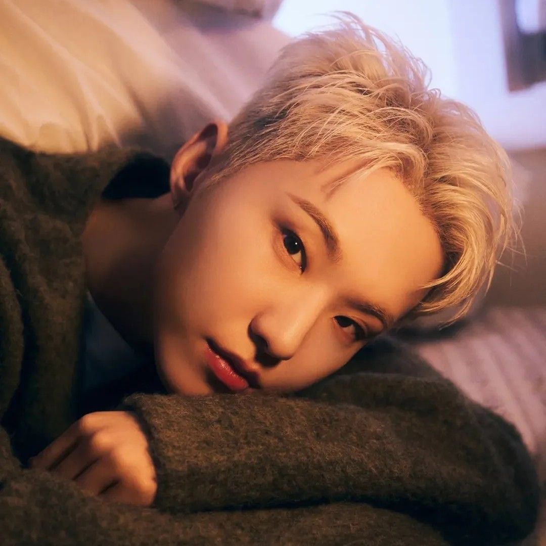 Recent activity shot of Hoshi (SEVENTEEN)